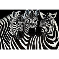 Thumbnail for Animal Zebra Diamond Painting Kit - DIY