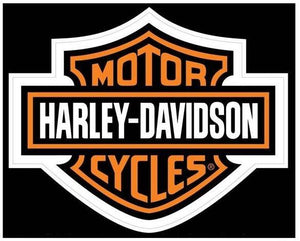 Harley Motor Diamond Painting Kit - DIY
