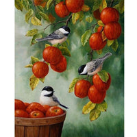 Thumbnail for Apple Birds Diamond Painting Kit - DIY