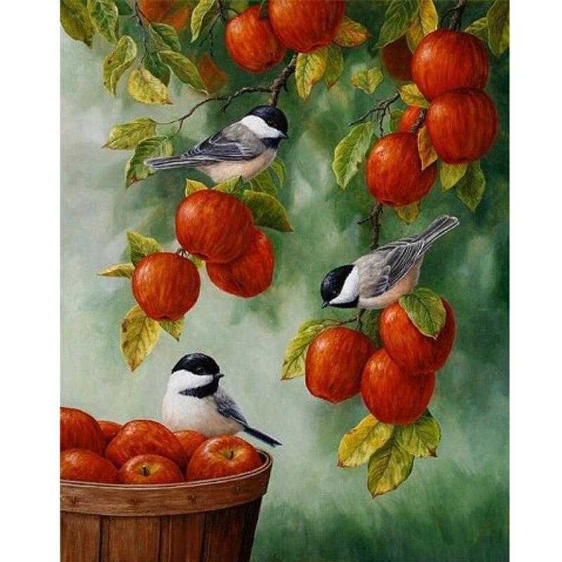 Apple Birds Diamond Painting Kit - DIY
