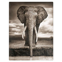 Thumbnail for Drinking Elephant Diamond Painting Kit - DIY