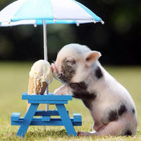 Thumbnail for Pigs Eat Ice Cream Diamond Painting Kit - DIY