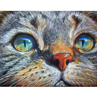 Thumbnail for Cat face Diamond Painting Kit - DIY