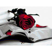 Thumbnail for Roses And Books Diamond Painting Kit - DIY