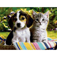 Thumbnail for Dog And Cat Diamond Painting Kit - DIY