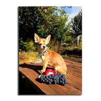Thumbnail for Dog Apple And Grape Diamond Painting Kit - DIY