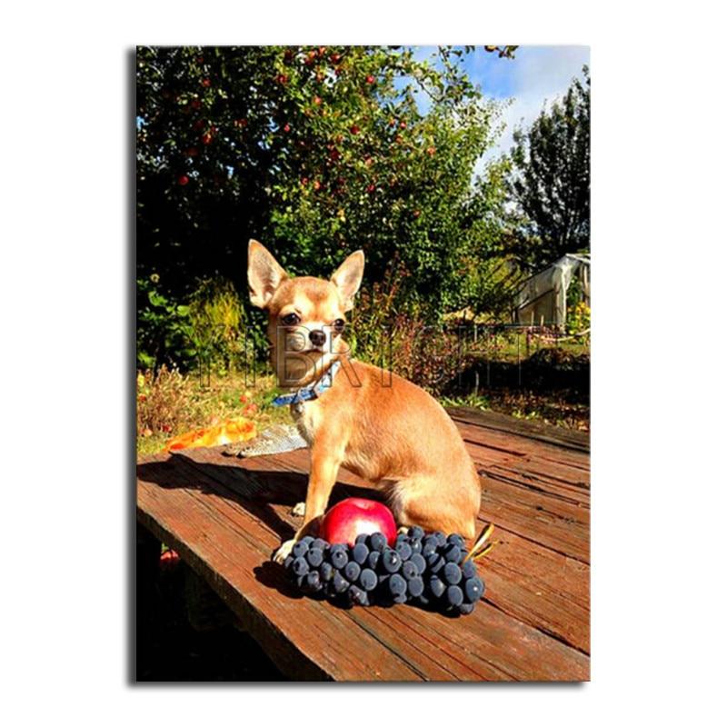 Dog Apple And Grape Diamond Painting Kit - DIY