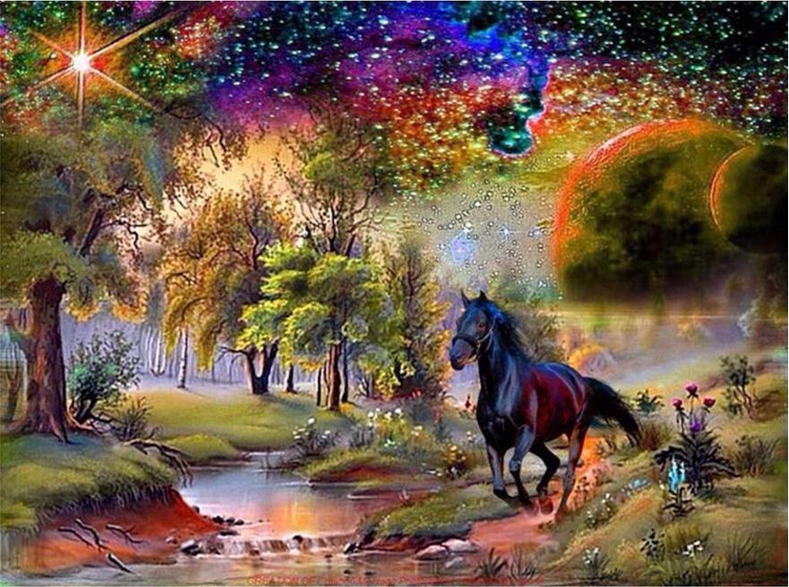 Black Horse Diamond Painting Kit - DIY
