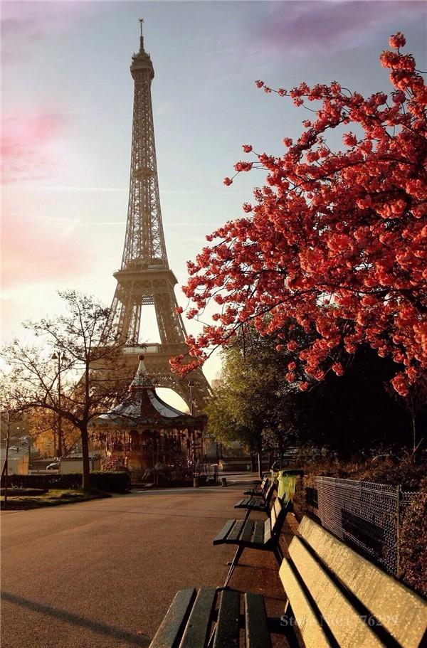 Scenery Eiffel Tower Diamond Painting Kit - DIY