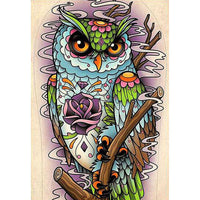 Thumbnail for Owl Flower Diamond Painting Kit - DIY