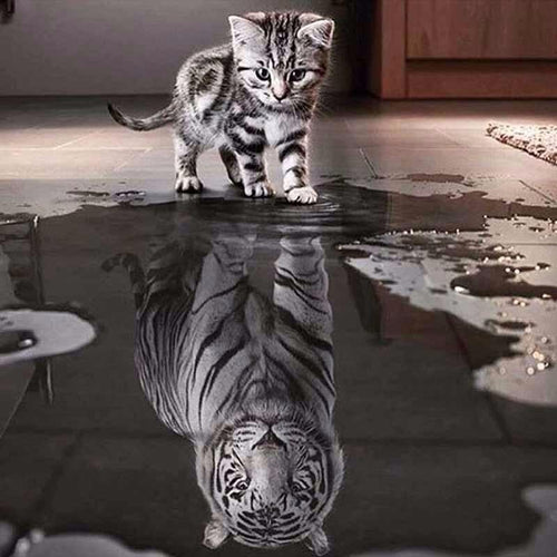 Cat Reflection Diamond Painting Kit - DIY