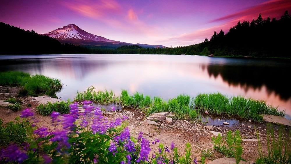 Embroidery Landscape Diamond Painting Kit - DIY