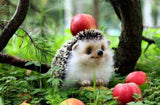 Cute Hedgehog Forest Apple Tree Diamond Painting Kit - DIY