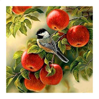 Thumbnail for Bird In Apple Diamond Painting Kit - DIY