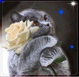 5d Cat Diamond Painting Kit Premium-18
