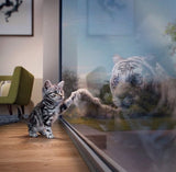 5d Cat Diamond Painting Kit Premium-22