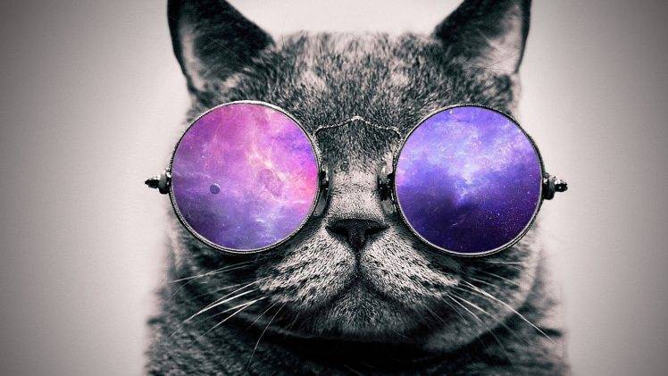 5d Cat Diamond Painting Kit Premium-25