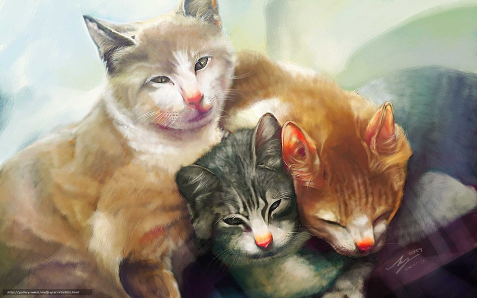5d Cat Diamond Painting Kit Premium-27