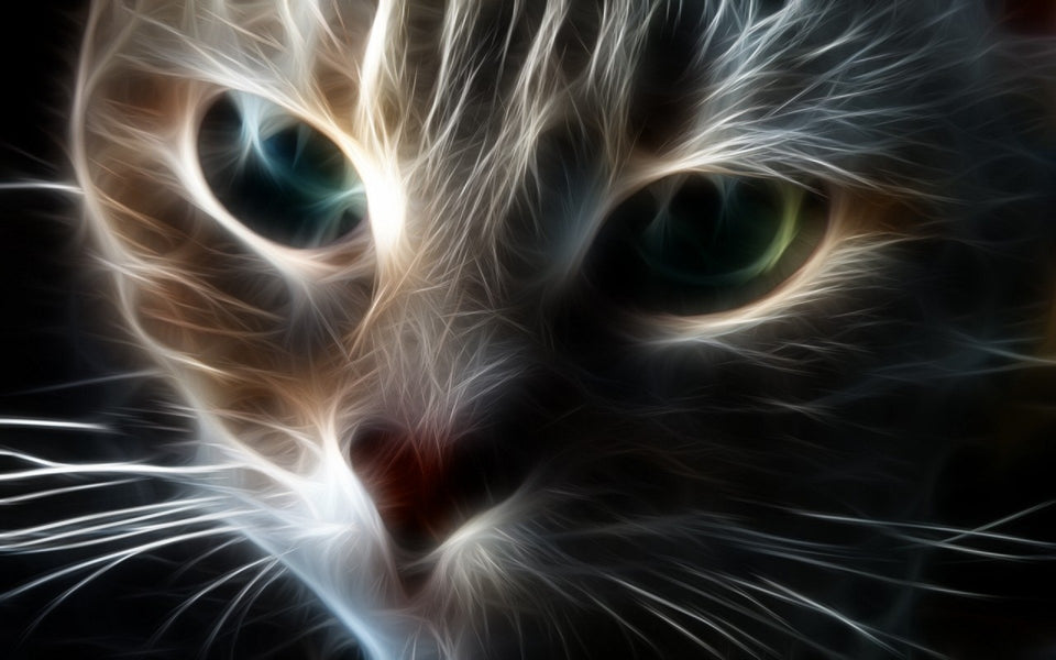 5d Cat Diamond Painting Kit Premium-30