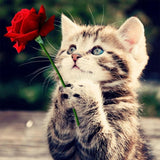 5d Cat Diamond Painting Kit Premium-35