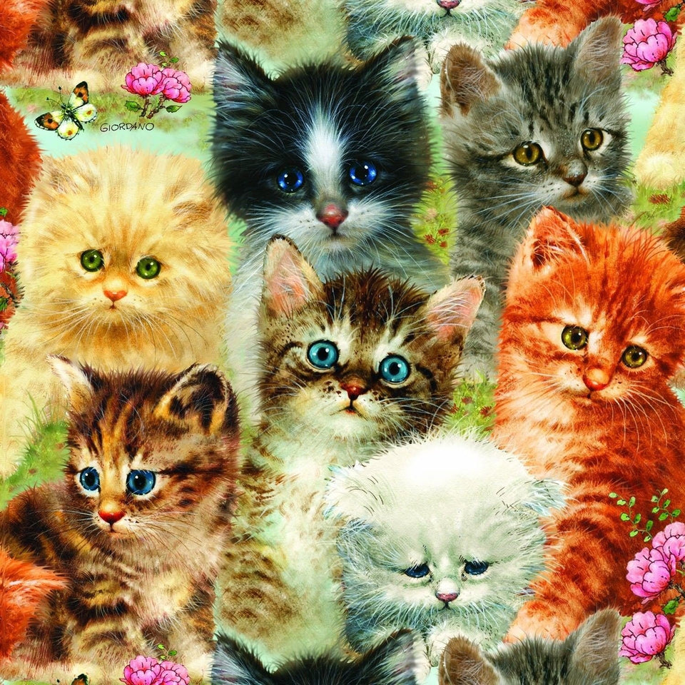 5d Cat Diamond Painting Kit Premium-36