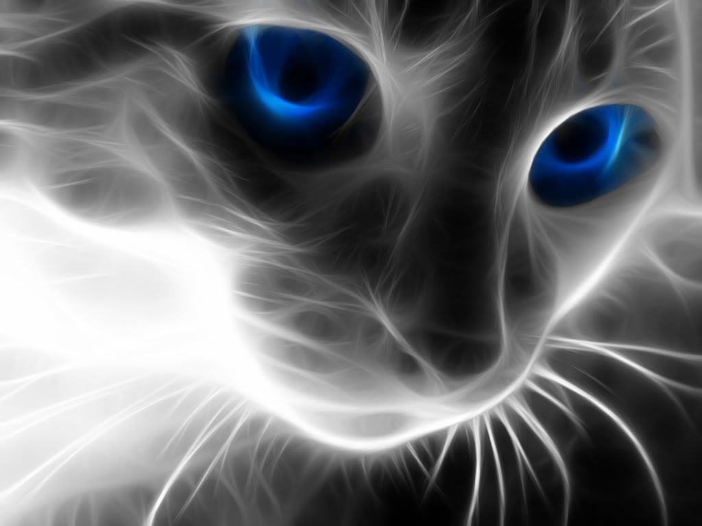 5d Cat Diamond Painting Kit Premium-58