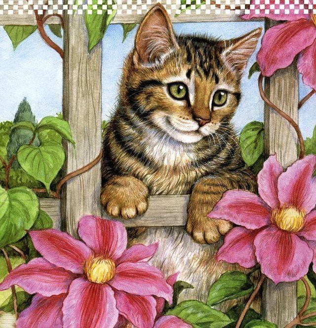 5d Cat Diamond Painting Kit Premium-65