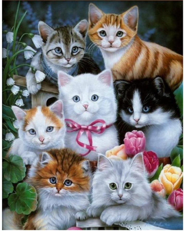 5d Cat Diamond Painting Kit Premium-71