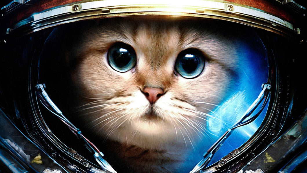5d Cat Diamond Painting Kit Premium-79