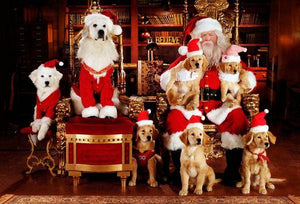 Christmas Diamond Painting Kit 5D - DIY Season 2-25