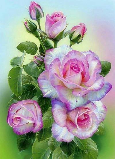 Flower Diamond Painting Kit - DIY Flower-37