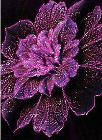 Thumbnail for Flower Diamond Painting Kit - DIY Flower-64