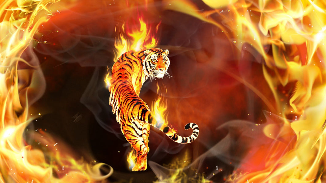 Tiger Fire Diamond Painting Kit - DIY