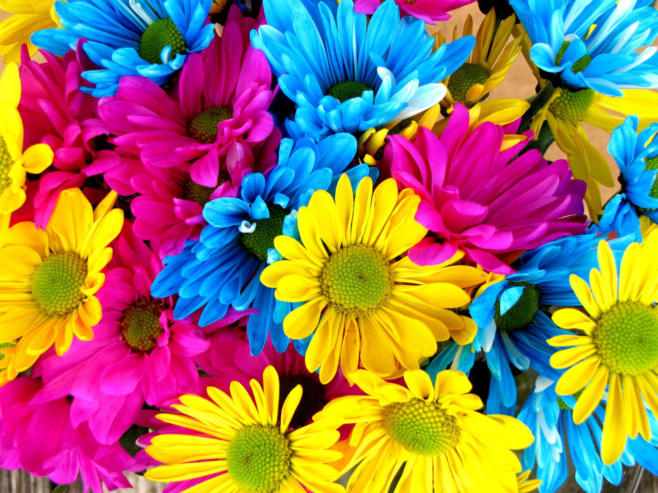 Rainbow Flowers Diamond Painting Kit - DIY Rainbow Flowers-11