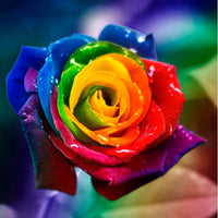 Thumbnail for Rainbow Flowers Diamond Painting Kit - DIY Rainbow Flowers-13