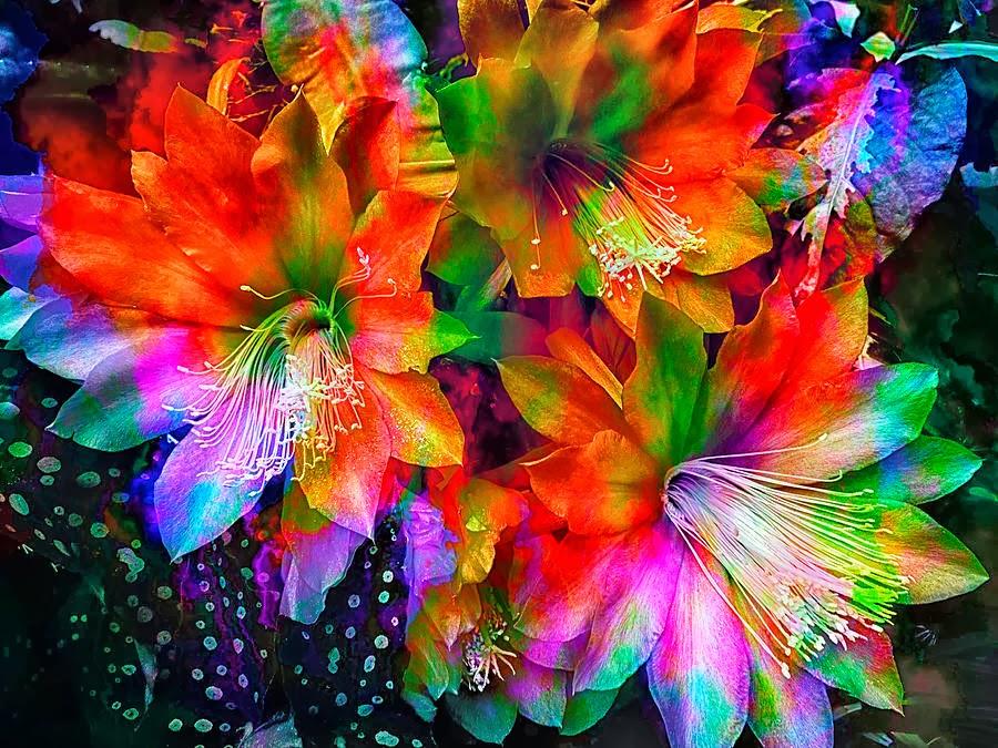 Rainbow Flowers Diamond Painting Kit - DIY Rainbow Flowers-14