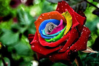 Thumbnail for Rainbow Flowers Diamond Painting Kit - DIY Rainbow Flowers-16
