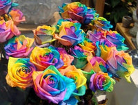 Thumbnail for Rainbow Flowers Diamond Painting Kit - DIY Rainbow Flowers-17
