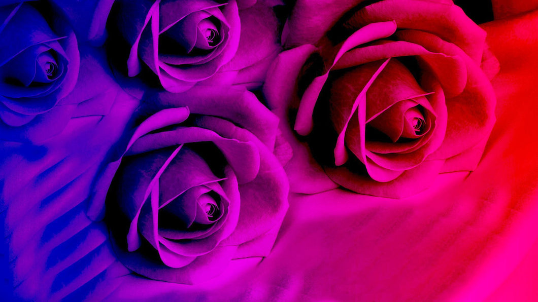 Rainbow Flowers Diamond Painting Kit - DIY Rainbow Flowers-18