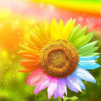 Thumbnail for Rainbow Flowers Diamond Painting Kit - DIY Rainbow Flowers-1