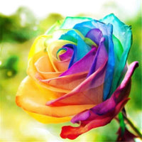 Thumbnail for Rainbow Flowers Diamond Painting Kit - DIY Rainbow Flowers-2