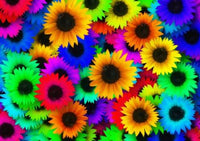 Thumbnail for Rainbow Flowers Diamond Painting Kit - DIY Rainbow Flowers-5