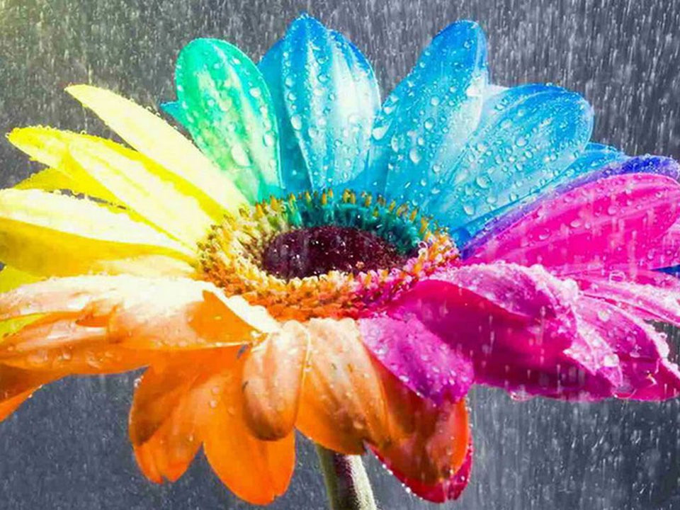 Rainbow Flowers Diamond Painting Kit - DIY Rainbow Flowers-6