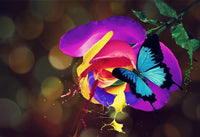 Thumbnail for Rainbow Flowers Diamond Painting Kit - DIY Rainbow Flowers-9