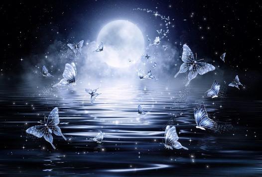 White Butterfly Diamond Painting Kit - DIY