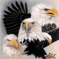 Thumbnail for Eagle And Eagle Diamond Painting Kit - DIY