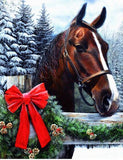 Horse Gift Diamond Painting Kit - DIY