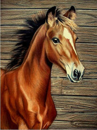 Thumbnail for Horse Little Diamond Painting Kit - DIY