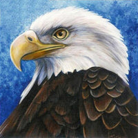 Thumbnail for Eagle Calm Diamond Painting Kit - DIY